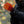 Venture Heat motorcycle glove with illuminated internal heating elements