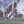 Athlete wearing a DonJoy ankle brace on a soccer field