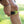 Person adjusting a DonJoy knee strap on their leg