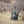 DSG Outerwear camo rolling gear bag standing in a field