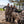 Three women in camouflage hunting gear standing by a truck bed filled with harvested ducks near a lake