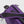 Close up of purple crossbody bag strap with black mesh padding and zipper detail