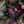 Person wearing FjallRaven burgundy trekking tights with reinforced knees sitting on a rock next to a green backpack
