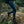 Person wearing blue Fjallraven hiking leggings and brown boots walking on a mossy rock
