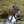 Hiker wearing FjallRaven jacket and backpack crossing a stream