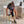 Person sitting at a table adjusting a black Gravity knee brace