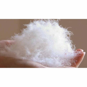 HealthyLine white fluffy down feathers held in a hand