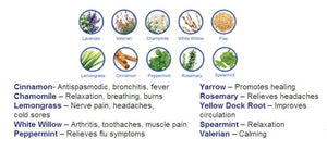 Heaven's Therapy chart showing various herbs and their associated health benefits
