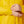 Close up of Helly Hansen yellow raincoat sleeve with metal snap buttons