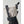Hestra beige and black winter glove cuff with adjustable drawstring and wrist strap