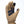 Outdoor Research tan glove with dark blue palm reinforcement and fingertip patches