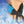 Icy Cools blue and black fabric neck cooling wrap tied around a person neck with ice cubes in the foreground