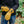 Person wearing tan ActionHeat battery heated gloves with battery pack inserted in cuff