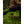Person sitting on a Hillsound portable tripod stool in a mossy forest