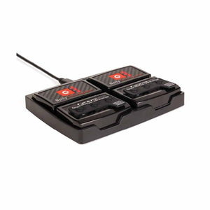 Lenz dual battery charging station for body heat system
