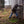 Person wearing Muck boots hammering a wooden wall on a farm