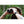 Person using NOCS Provisions binoculars in a forest setting