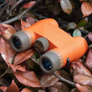 Orange Nocs Provisions binoculars resting on brown autumn leaves