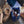 Blue Bellroy cooler bag filled with drinks and ice next to a bowl of nuts on a tree stump