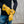 Person wearing yellow ActionHeat battery heated gloves with visible power buttons