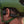 Outdoor Tech bone conduction headphones worn under a green helmet
