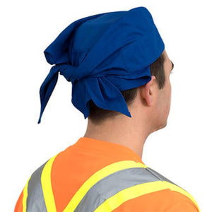 Person wearing a blue tie back bandana and high visibility orange safety vest