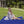 Woman sitting on a blue outdoor picnic blanket reading a book in a park
