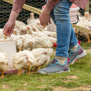 Person wearing Muck shoes feeding white chickens in a coop