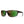 Smith sunglasses with tortoise shell frames and green reflective lenses