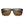 Smith Optics sunglasses with brown tortoise shell frames and brown lenses