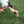 Person using a Snow Peak hammer to drive a tent stake into the grass