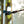 Snow Peak strap and carabiner attached to a tent pole