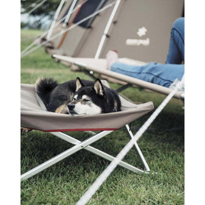 Black and tan dog sleeping on a Snow Peak elevated pet cot outside a tent