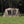 Snow Peak brown camping tent with mesh windows set up on a grassy field in front of trees