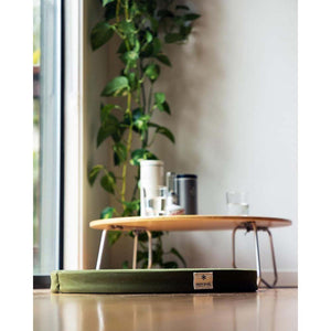 Green Snow Peak floor cushion on a wooden floor near a coffee table and houseplant