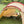 Snow Peak tent with camping cot and table set up on grass