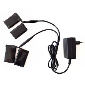 Thermrup battery charger with four black battery packs and power adapter