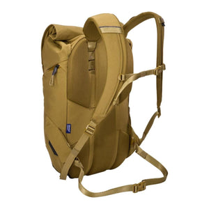 Back view of a tan Thule rolltop backpack showing padded shoulder straps and mesh back panel