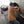 Person kneeling on a ToastiMat while performing car maintenance
