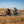 Two motorcyclists wearing Tourmaster gear riding dual sport motorcycles on a dirt path