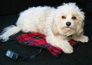 Small white dog lying on a Trillium Worldwide red plaid electric heating pad