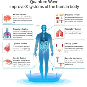 Infographic showing eight human body systems and their functions