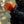 Venture Heat motorcycle glove with illuminated internal heating elements