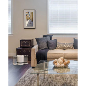 Vornado humidifier on floor next to sofa in living room