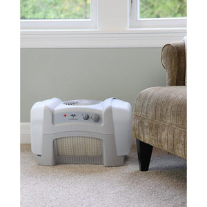 Vornado evaporative humidifier on carpet next to an armchair
