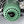 Close up of a green retro style fan motor housing with a black speed control knob