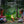 Two children sitting on the ground by a small portable wood burning camping stove in a forest